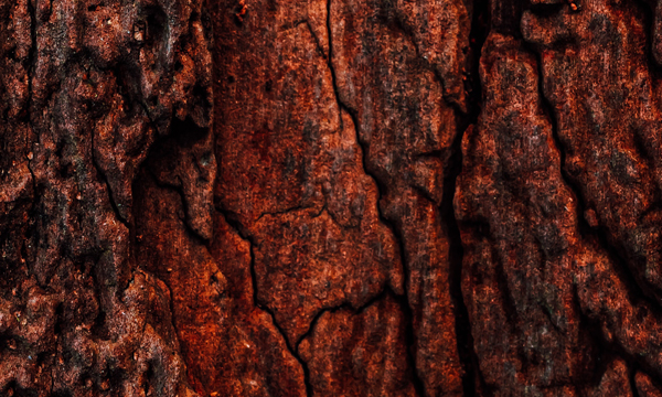 Harmonising value: a unified approach to value-driven pricing in a diverse enterprise conglomerate