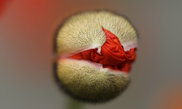 Revolutionising European fleet telematics with data analytics, a new market proposition, and optimised operations