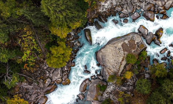 Digital transformation, operating model design, and channel setup: empowering the eCommerce journey